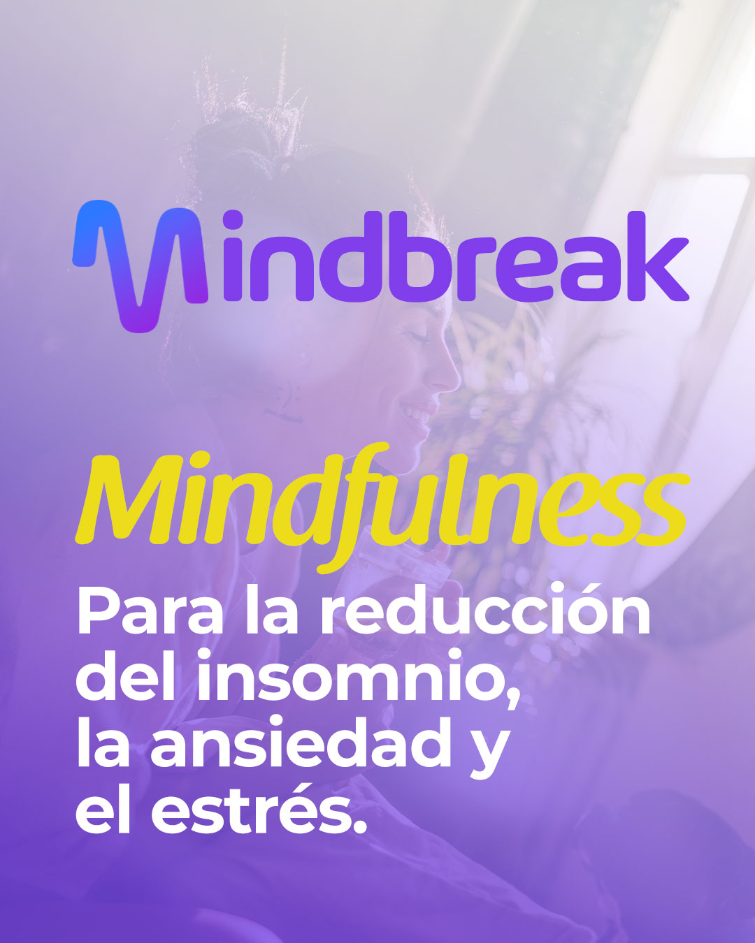 producto mindbreak - Escuela Kaizen