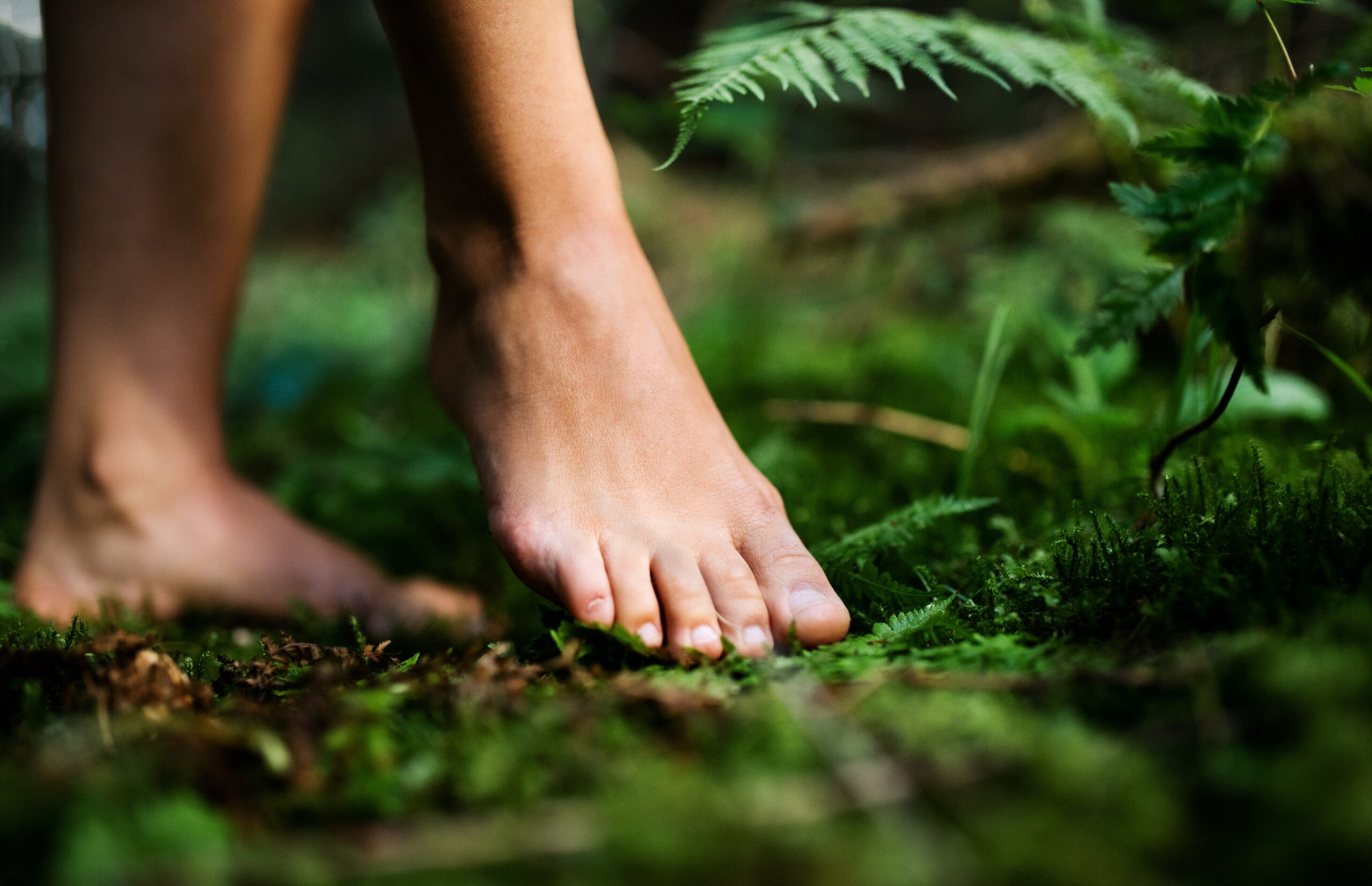 beneficios del grounding scaled - Escuela Kaizen