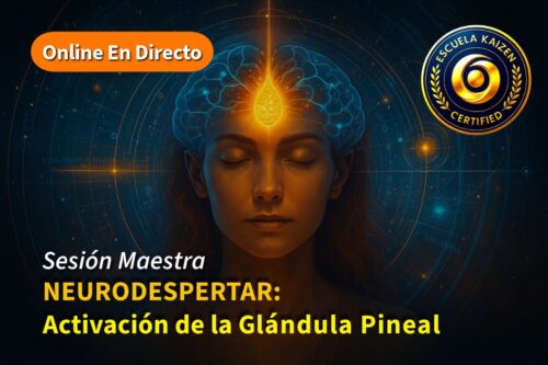 glandula pineal - Escuela Kaizen