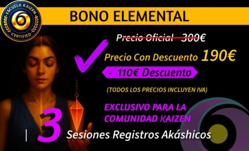 bono registros basico - Escuela Kaizen